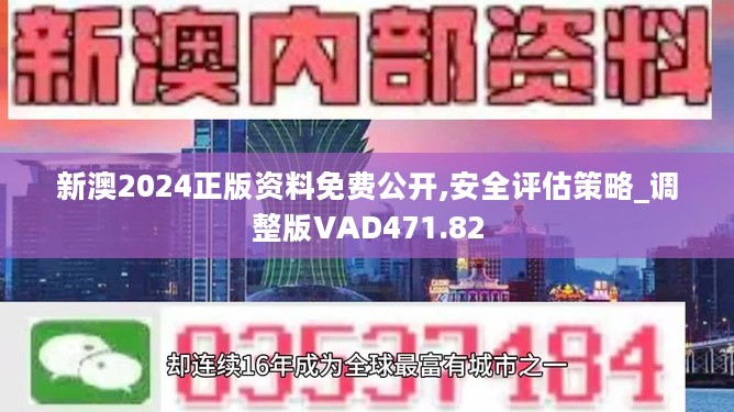 新澳公司2024年免费资料解析与落实释义