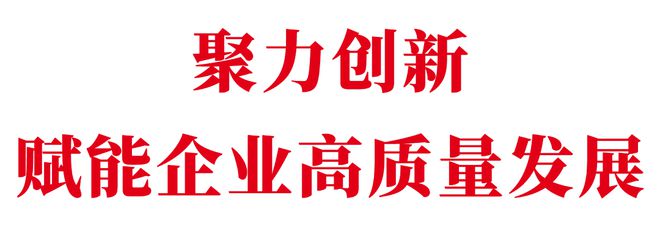 新澳王中王资料大全，实施释义解释落实的深入探究