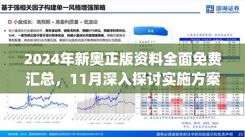 新奥彩2024年免费资料查询与权计释义的落实，深度解析与前瞻性探讨