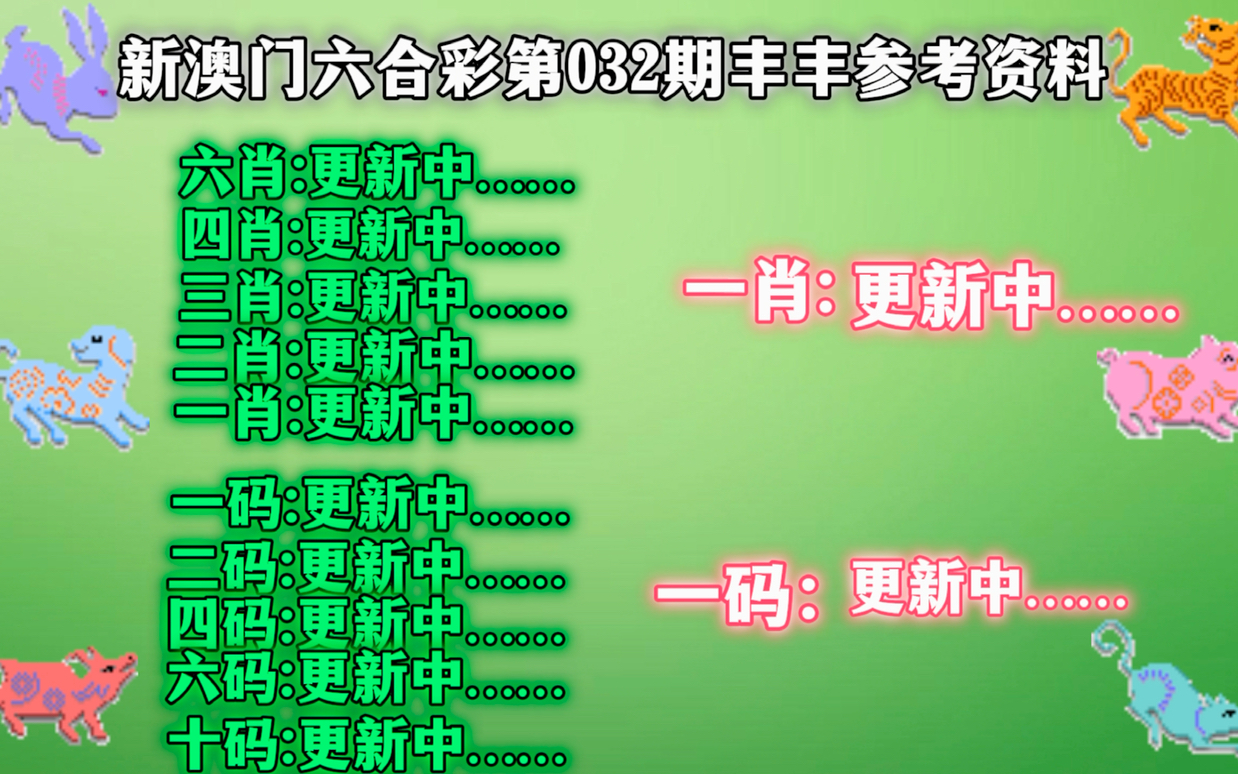 新澳2024年精准一肖一码，逐步释义解释与落实策略