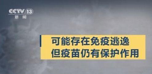 澳门一码一肖，真的存在百分百准确预测吗？——倡导释义解释落实的重要性