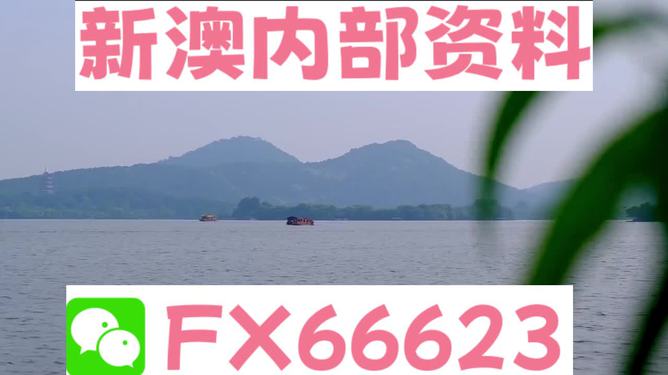 新澳今日最新资料995，研究释义、解释与落实的重要性