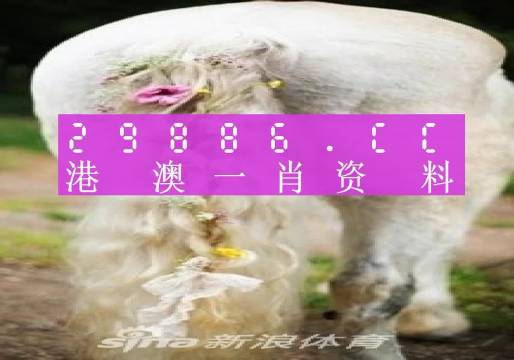 全车改装套件 第22页