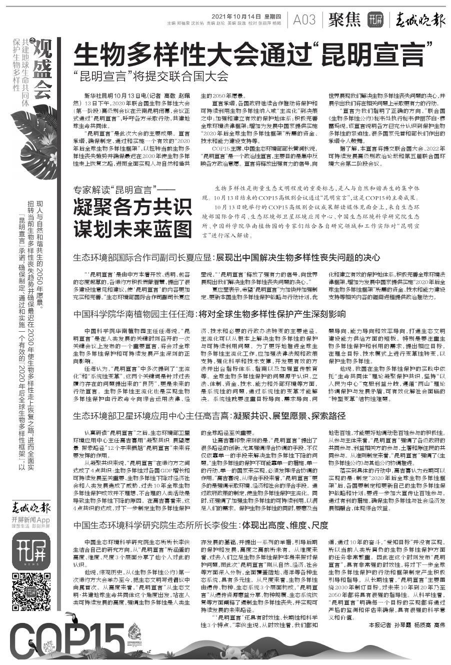 揭秘香港未来蓝图，公开资料、开发释义与落实行动在2024年的全面展开