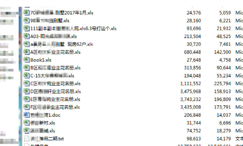 精准一肖一码一子一中，诚实释义、解释与落实