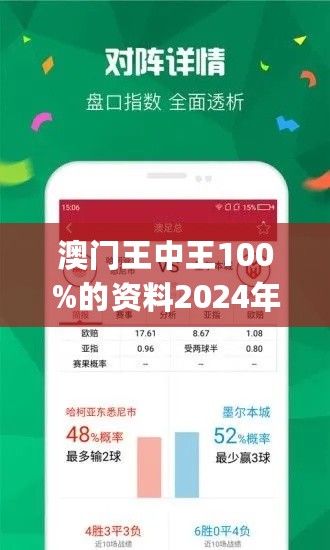 澳门王中王100%正确答案最新章节与释义解释落实的探讨