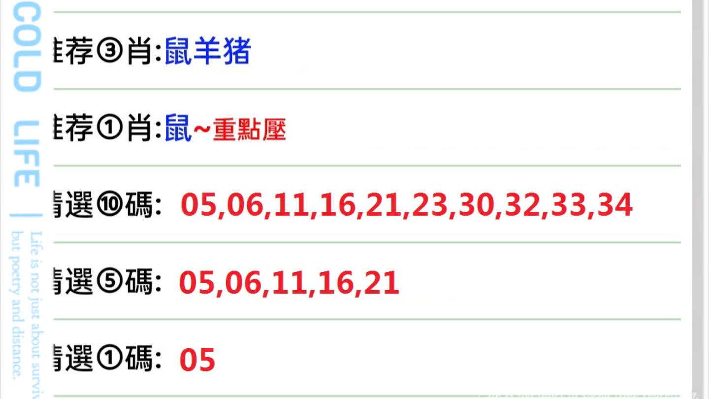 澳门特马第53期开奖解析与机动释义落实策略