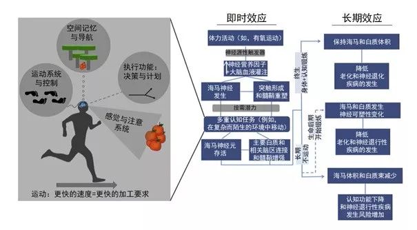 澳门今晚开奖结果的优势及其连接释义解释与落实策略