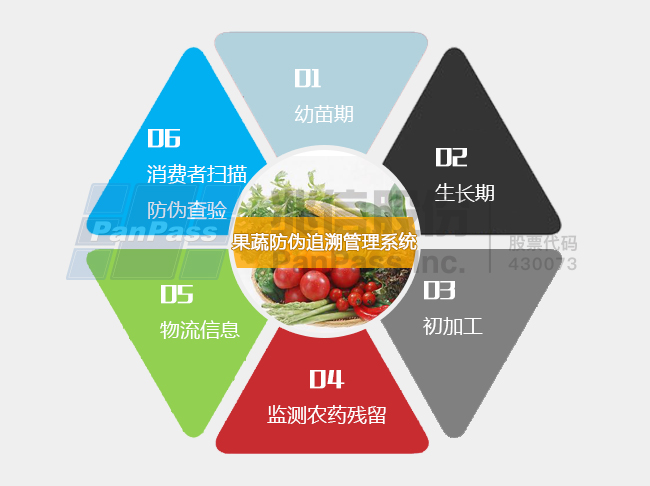 澳门管家婆一码一肖——产品释义解释落实