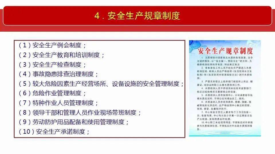 一码一肖一特马报与案例释义解释落实研究