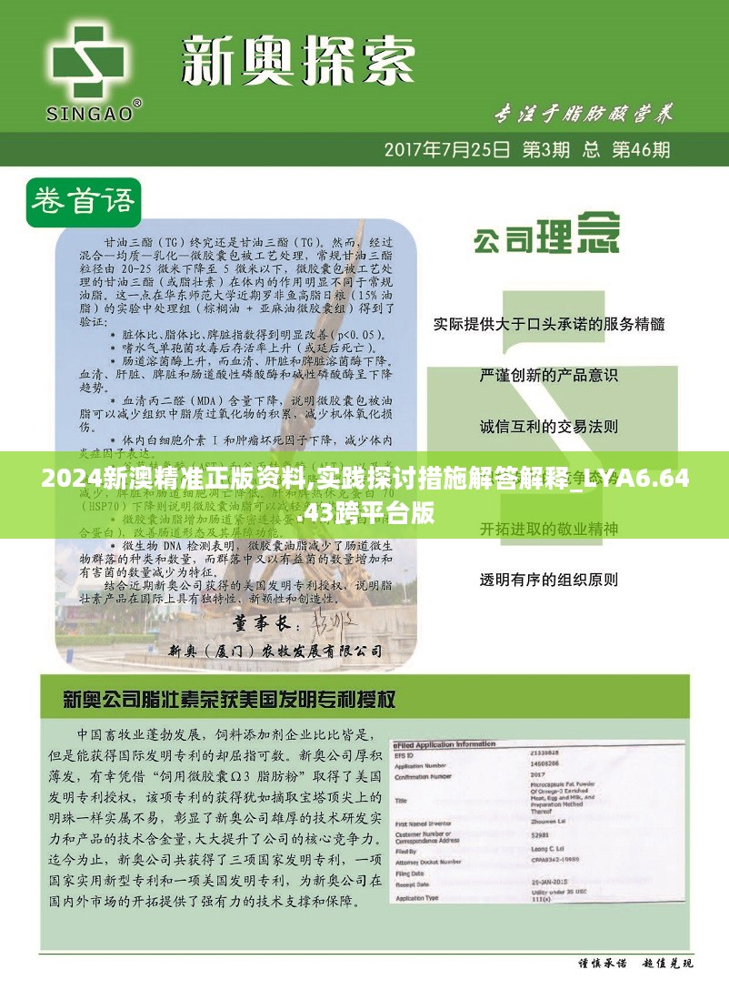 新澳2025年精准资料220期，工具释义解释落实的全面解读