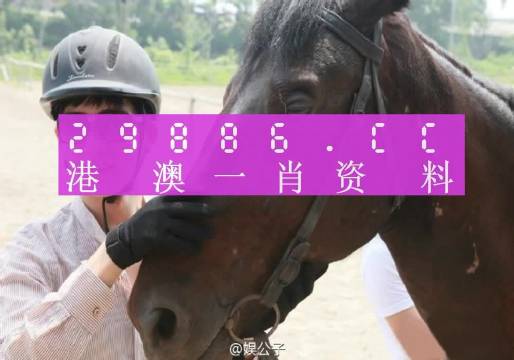 澳门一肖一码一必开一肖，宽广释义、解释与落实