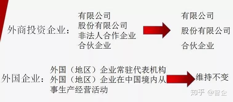 澳门天天免费精准大全，释义、解释与落实