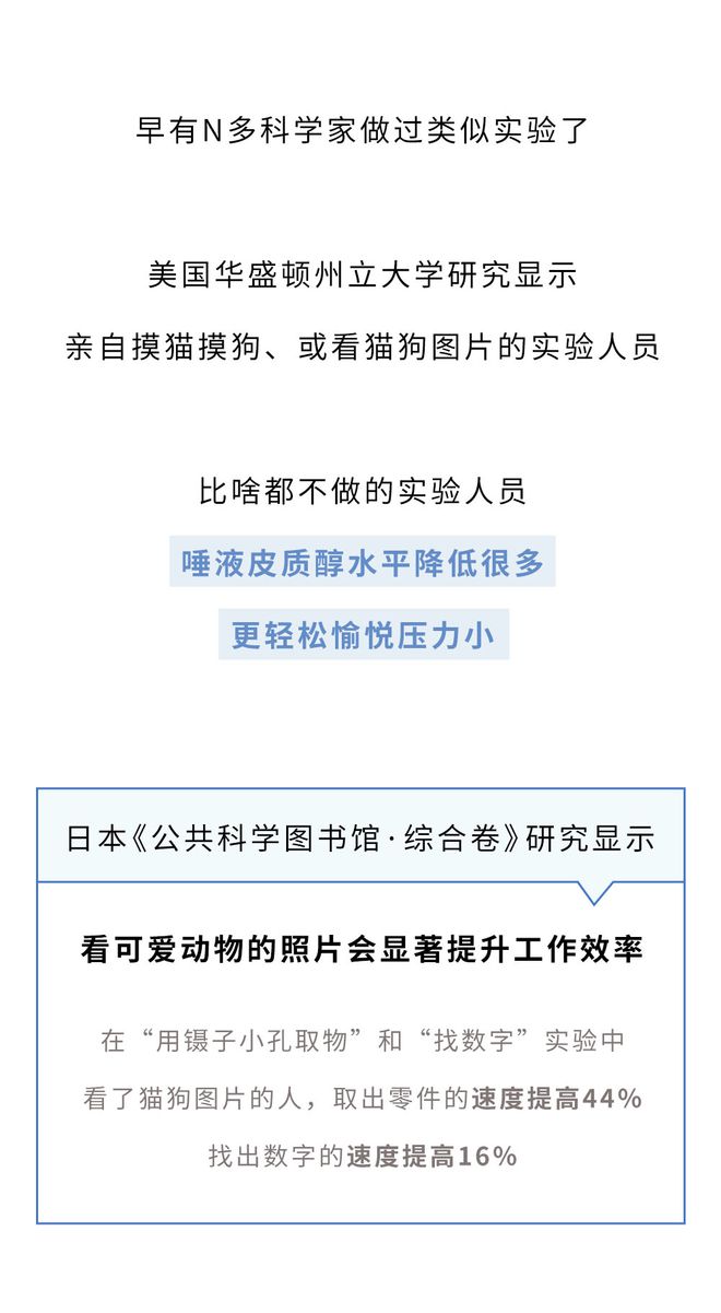 揭秘新奥历史开奖记录，第49期的奥秘与诀窍解析