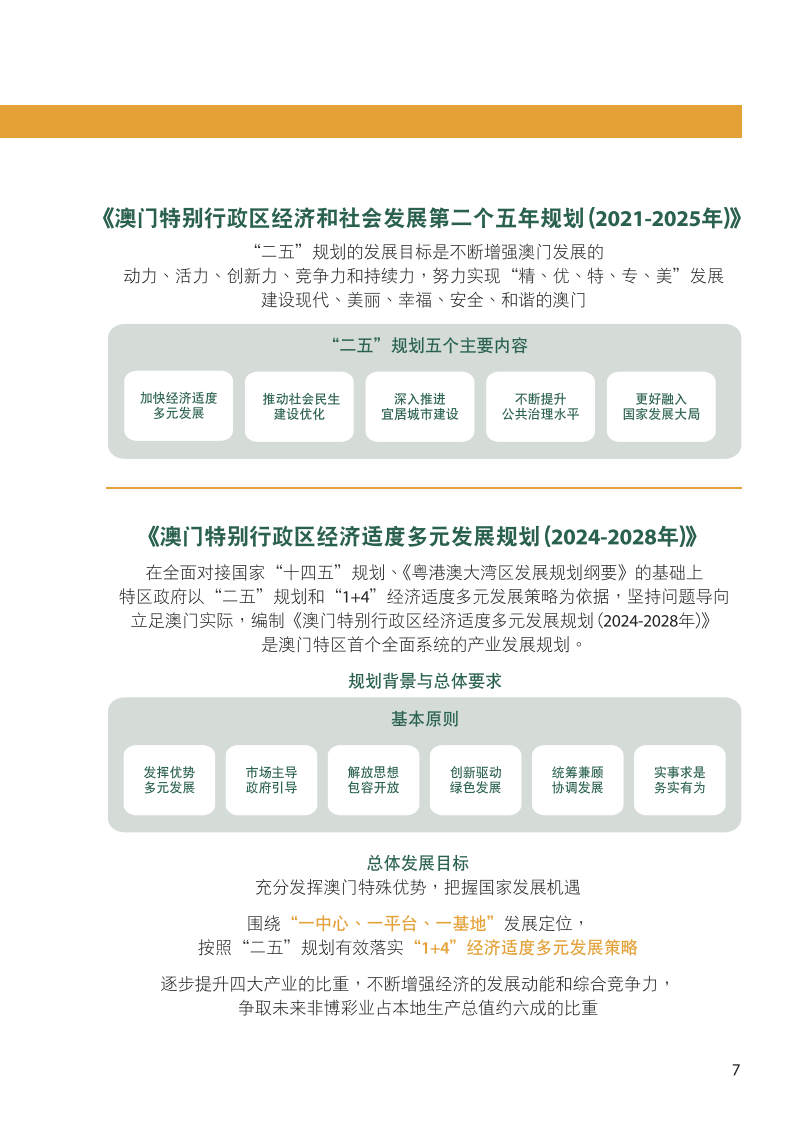 澳门王中王100%的资料2025，解析与落实行动