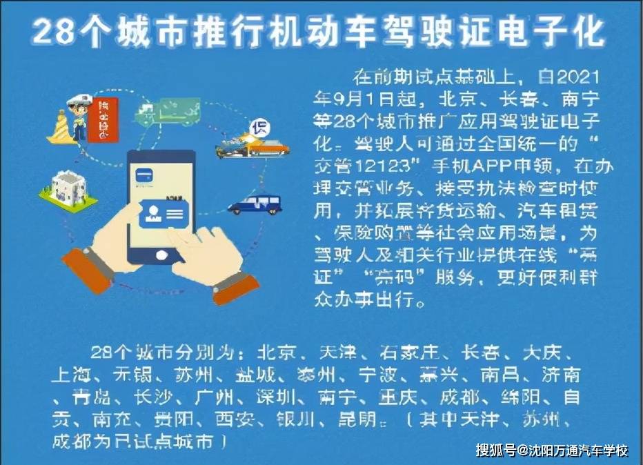 澳门一码一肖一待一中四不像，详细释义解释与落实策略