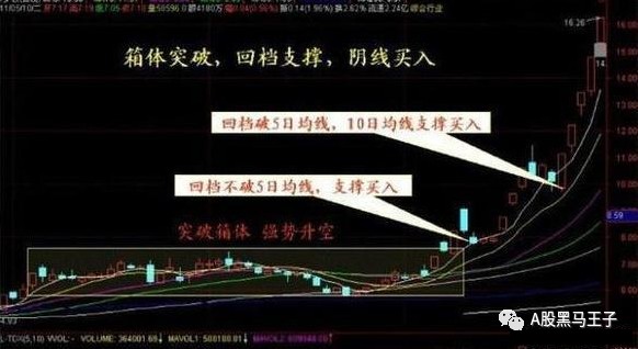 精准跑狗图与线自释义，深度解析与实际应用