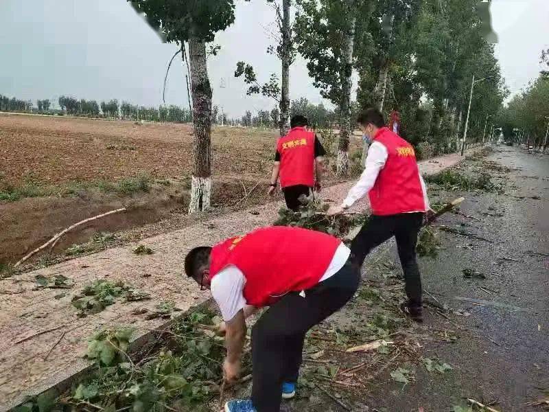 新奥历史开奖记录第28期，正规释义与落实行动