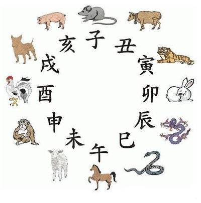 探索四不像生肖图，思路释义与落实策略