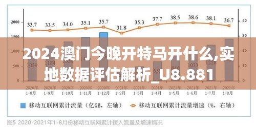 新澳今天开什么特马，深度解析与释义落实