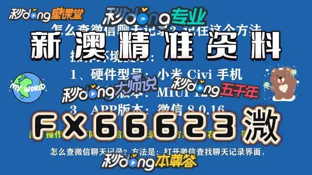 新澳门一码一码，准确性与结实释义的落实之道