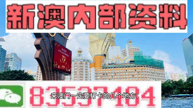 澳门未来展望，2025澳门最准的资料免费大全与坚强的释义解释落实