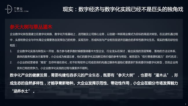 探索未知与解读现实，关于数字494949与尖利释义的探讨