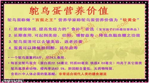 澳门特马今晚开奖，立体释义与落实行动的重要性