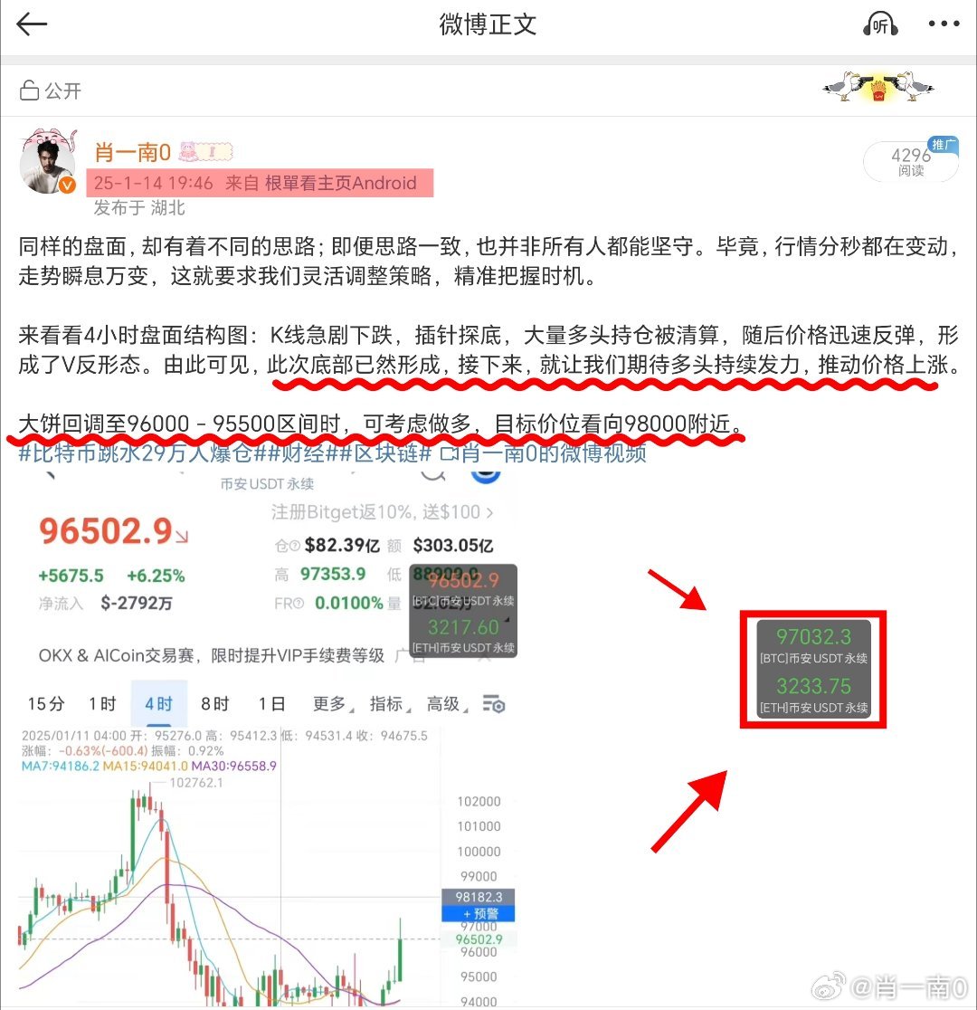 精准一肖一码，揭秘预测背后的秘密与落实之道